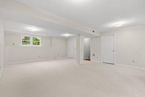 Lower Level Bonus Room