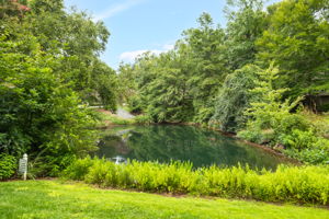 15 Snowgoose Cove-46