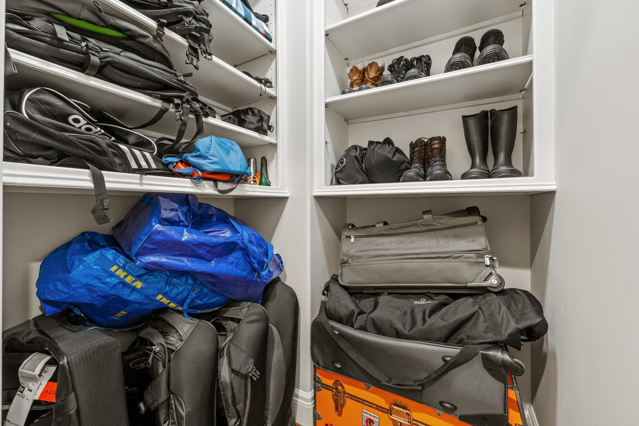  Photo 61