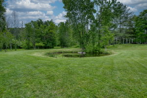  Photo 30