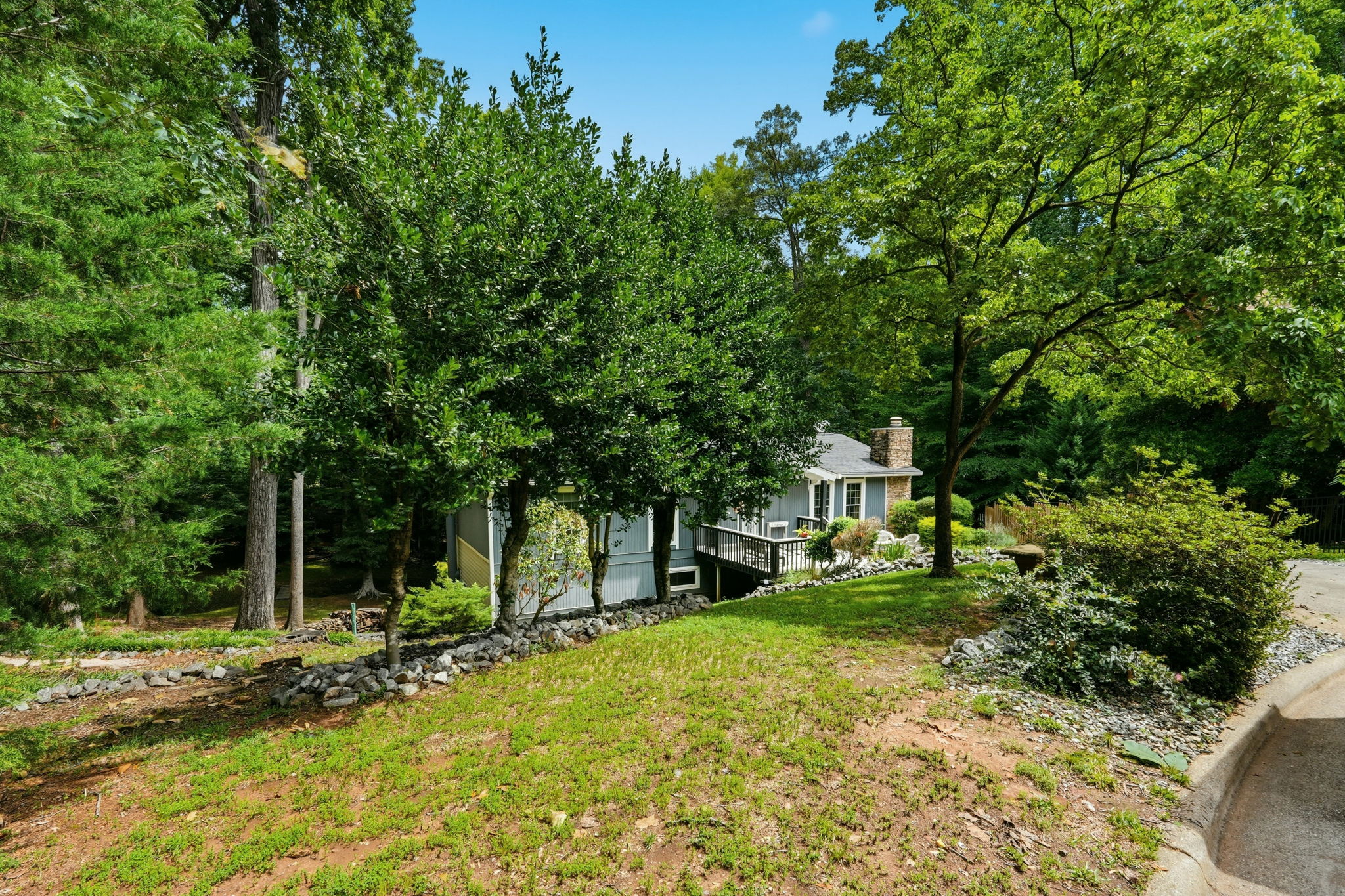Front Yard