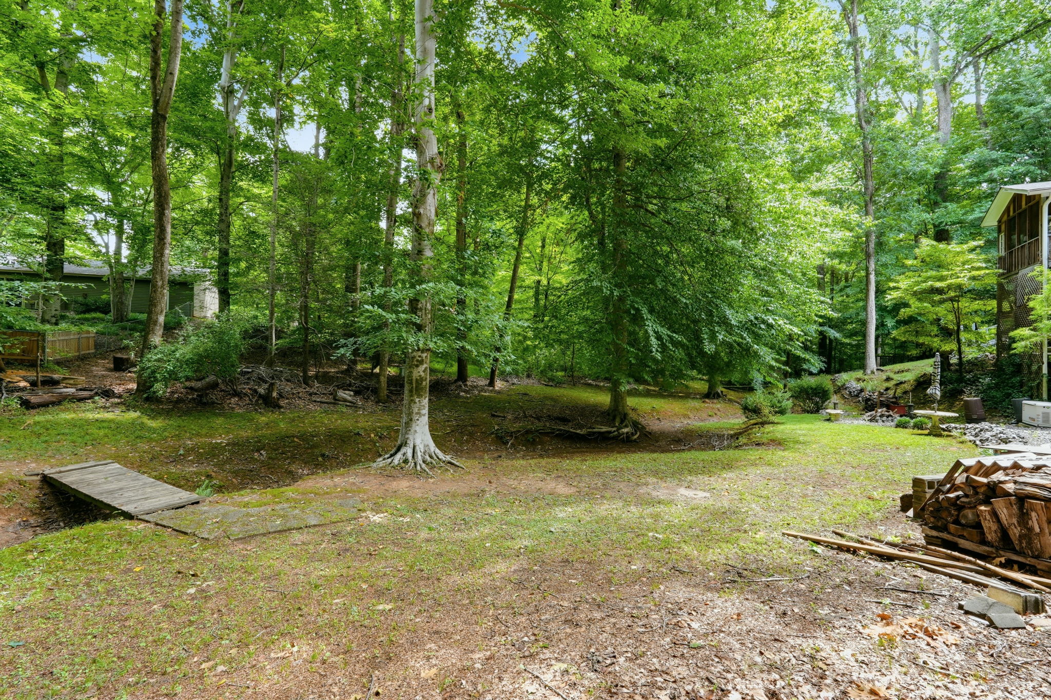 Back Yard