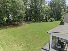  Photo 46