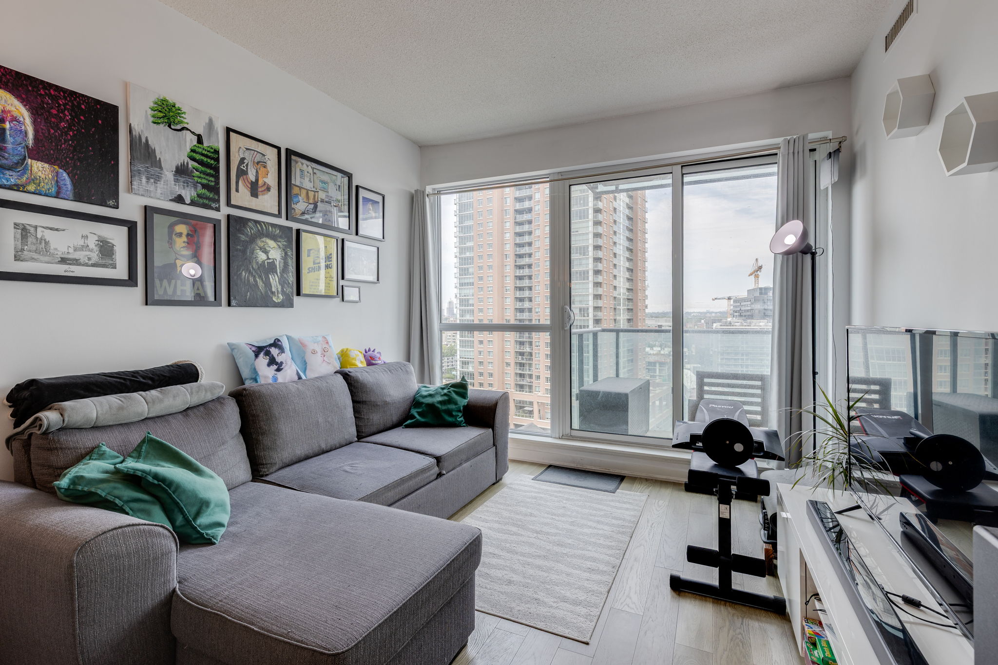 Toronto property showcase — delivered property photograph 13