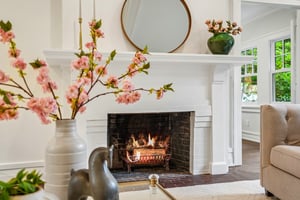 Wood Burning Fireplace