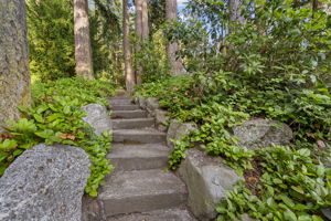  Photo 35