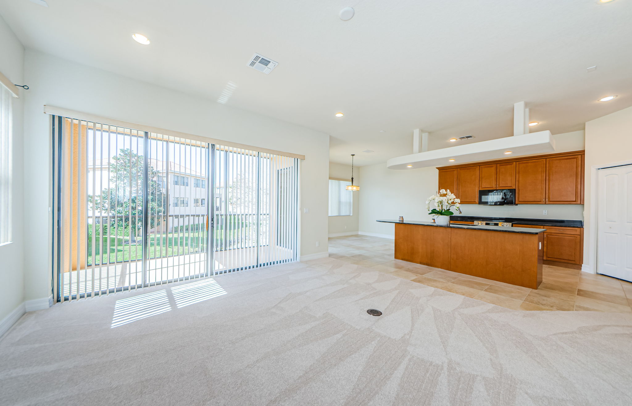 Main Level Living Room 2