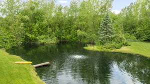  Photo 39
