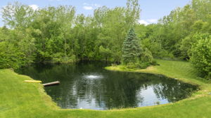  Photo 40