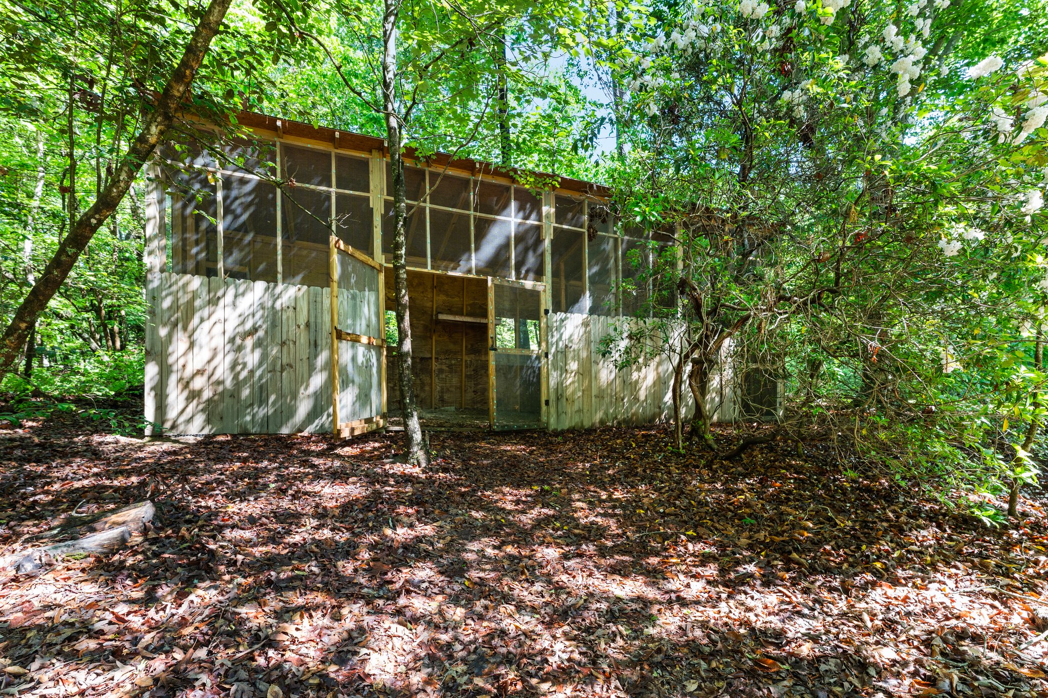 or chicken coop