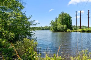Come fish right at home!