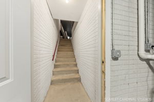  Photo 50