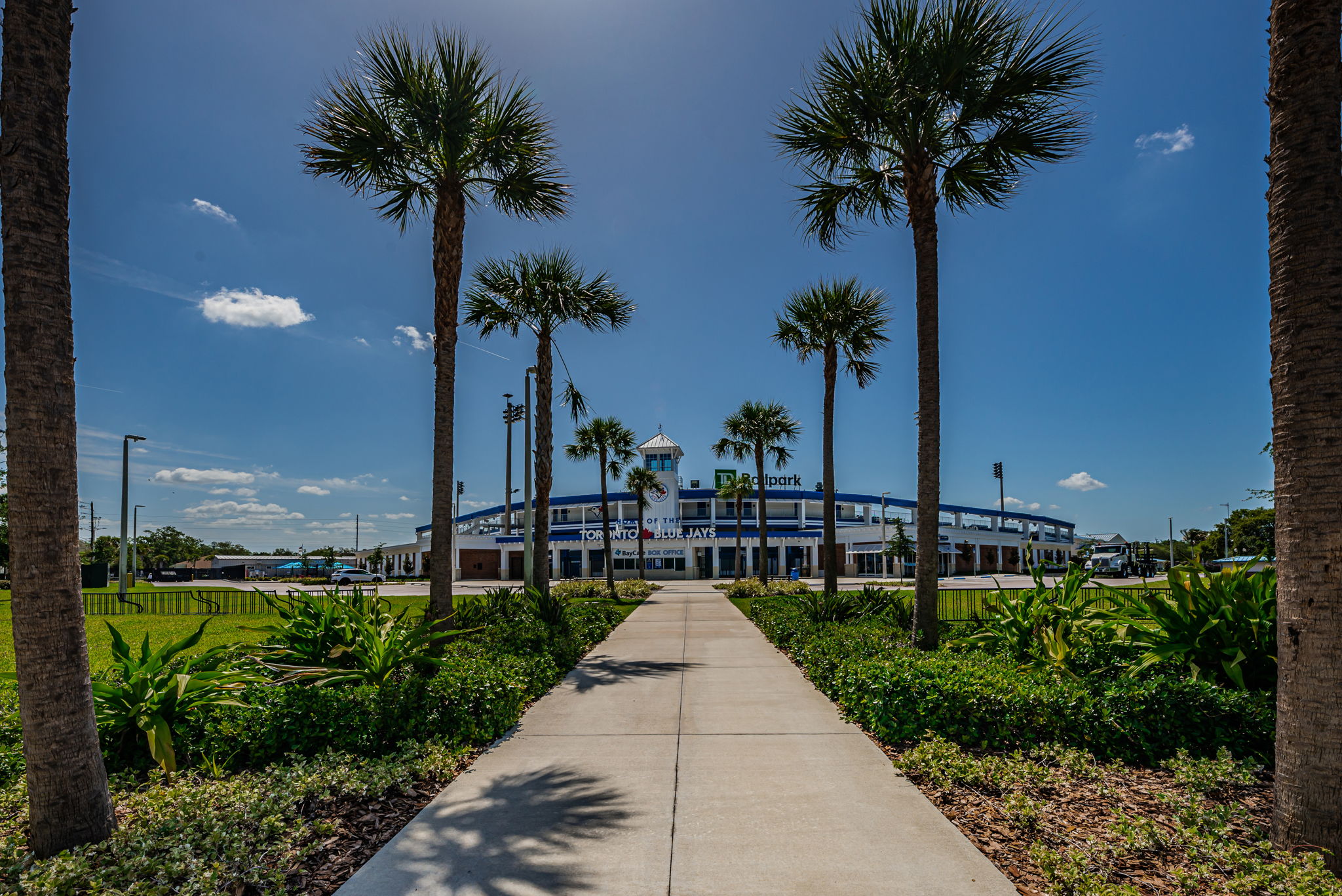 145-Minor League Baseball Team for Toronto Blue Jays