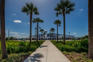 145-Minor League Baseball Team for Toronto Blue Jays