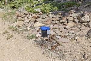  Photo 52