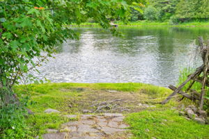  Photo 47