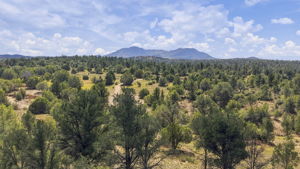 Lot Photo 5