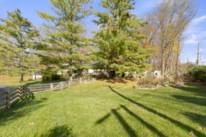  Photo 36
