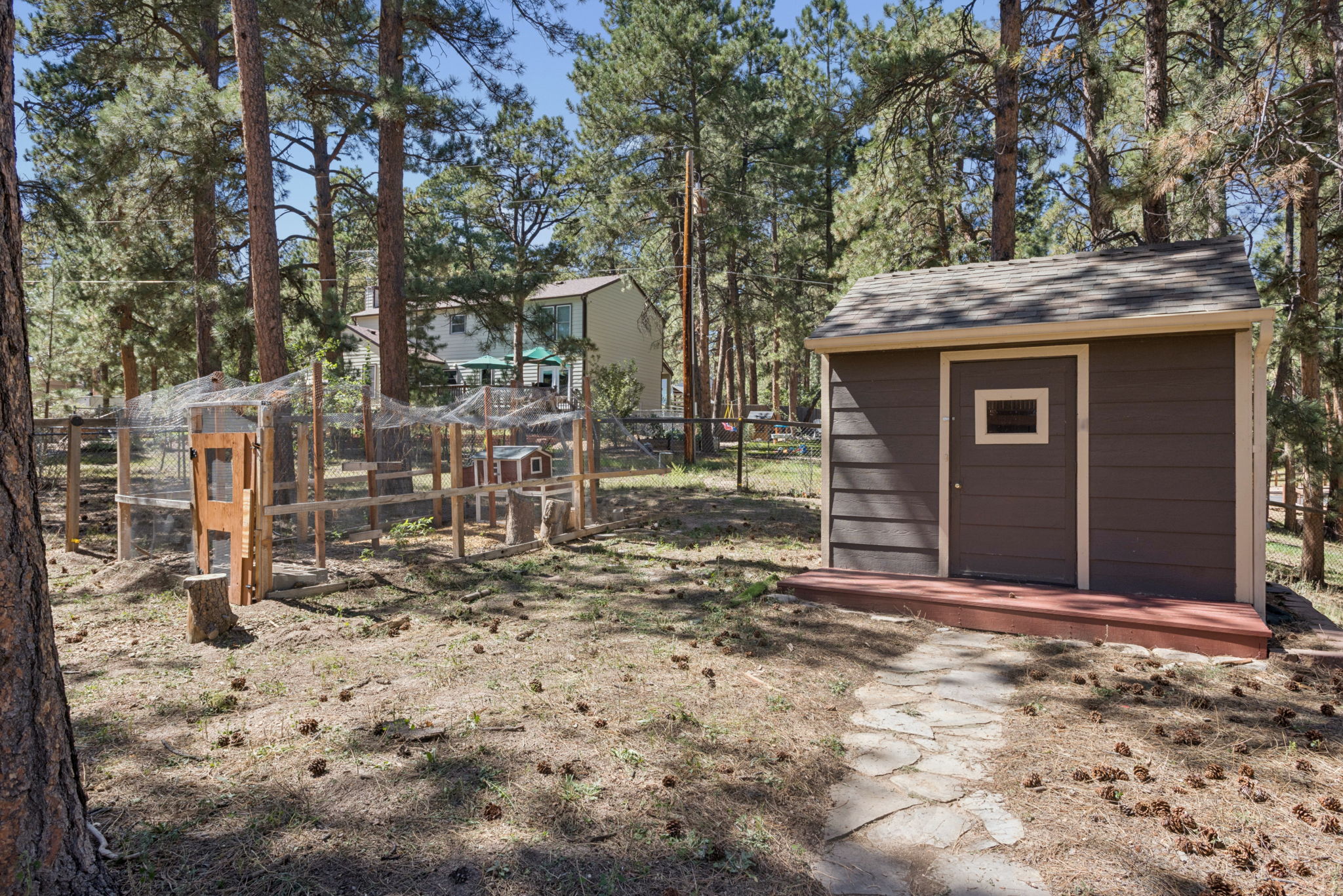 Shed