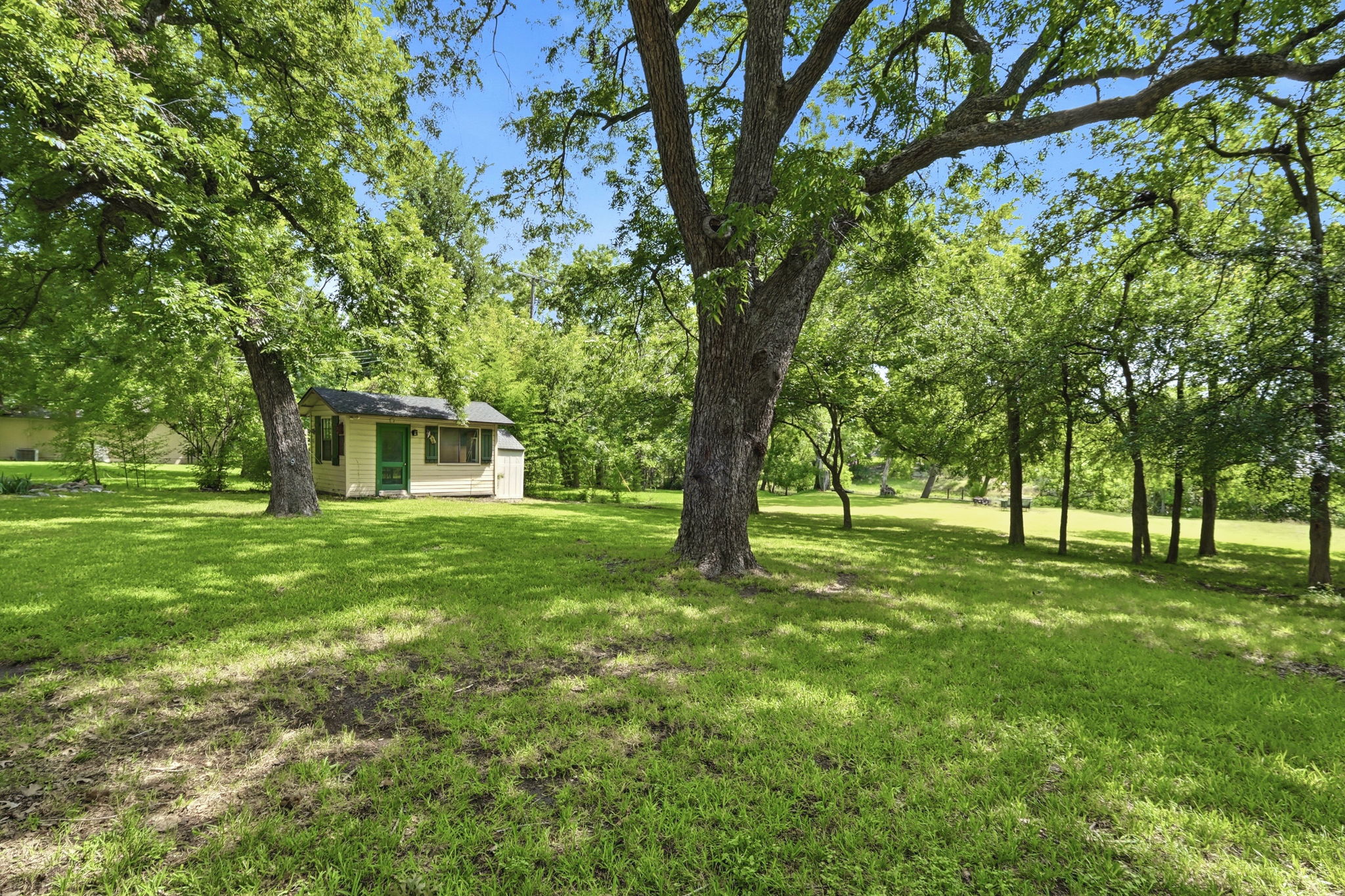 Backyard and Shed
