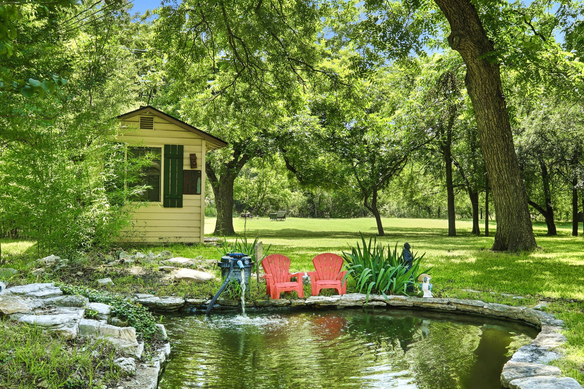 Fish Pond/Back Yard