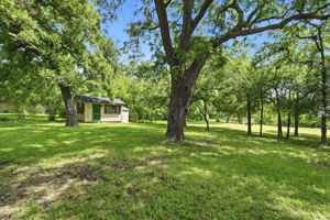 Backyard and Shed
