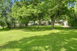 Back Yard and Back of Home
