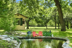 Fish Pond/Back Yard