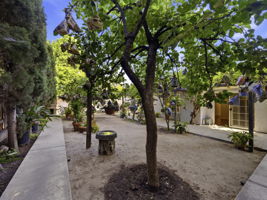  Photo 28