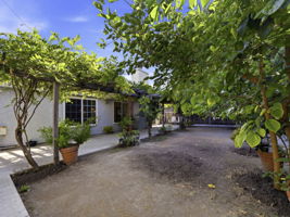  Photo 30