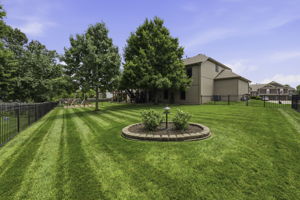 04 Backyard