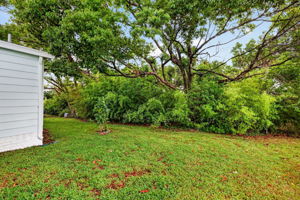 Rear PRIVACY LANDSCAPING!