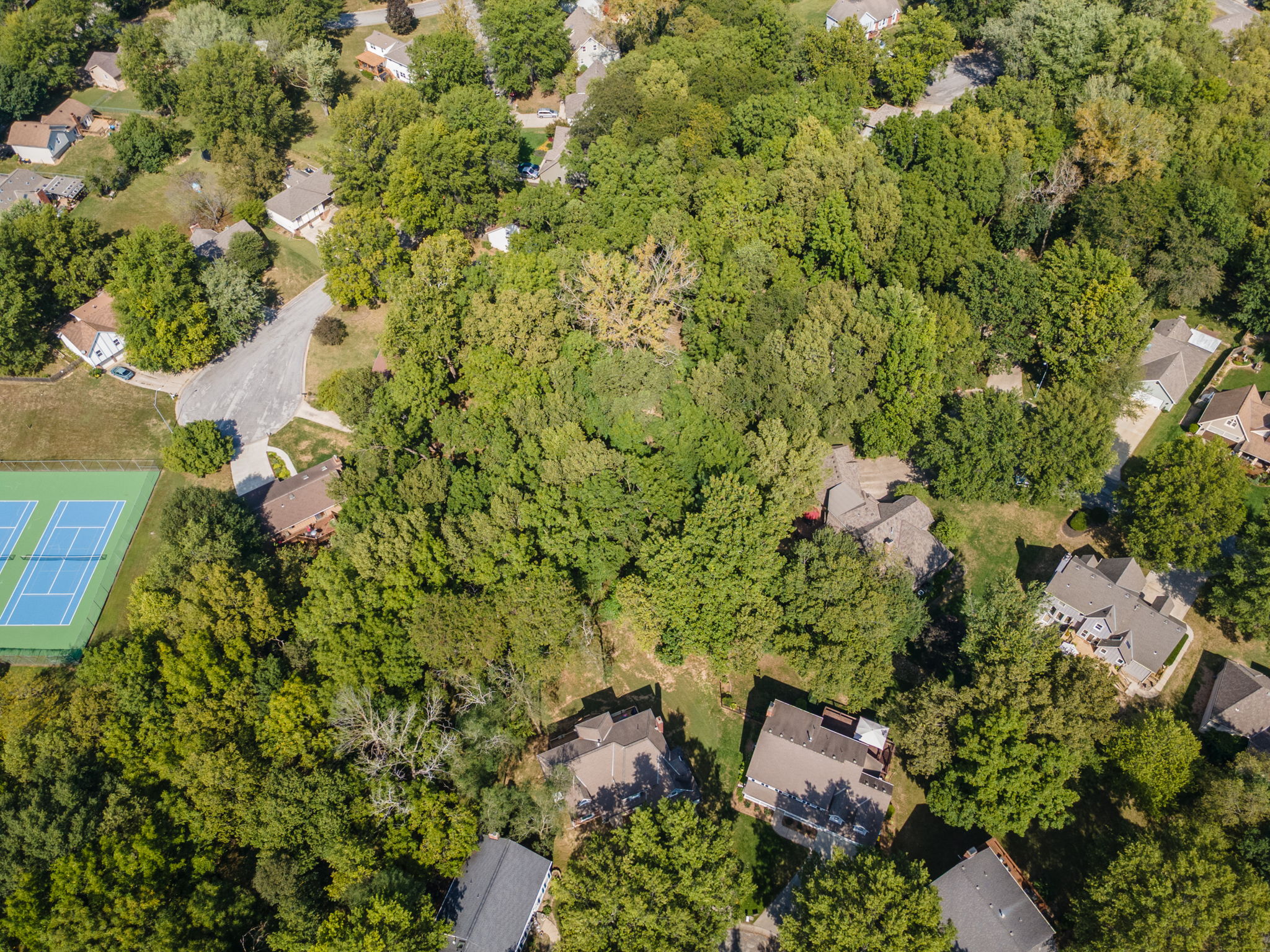 DJI_0053