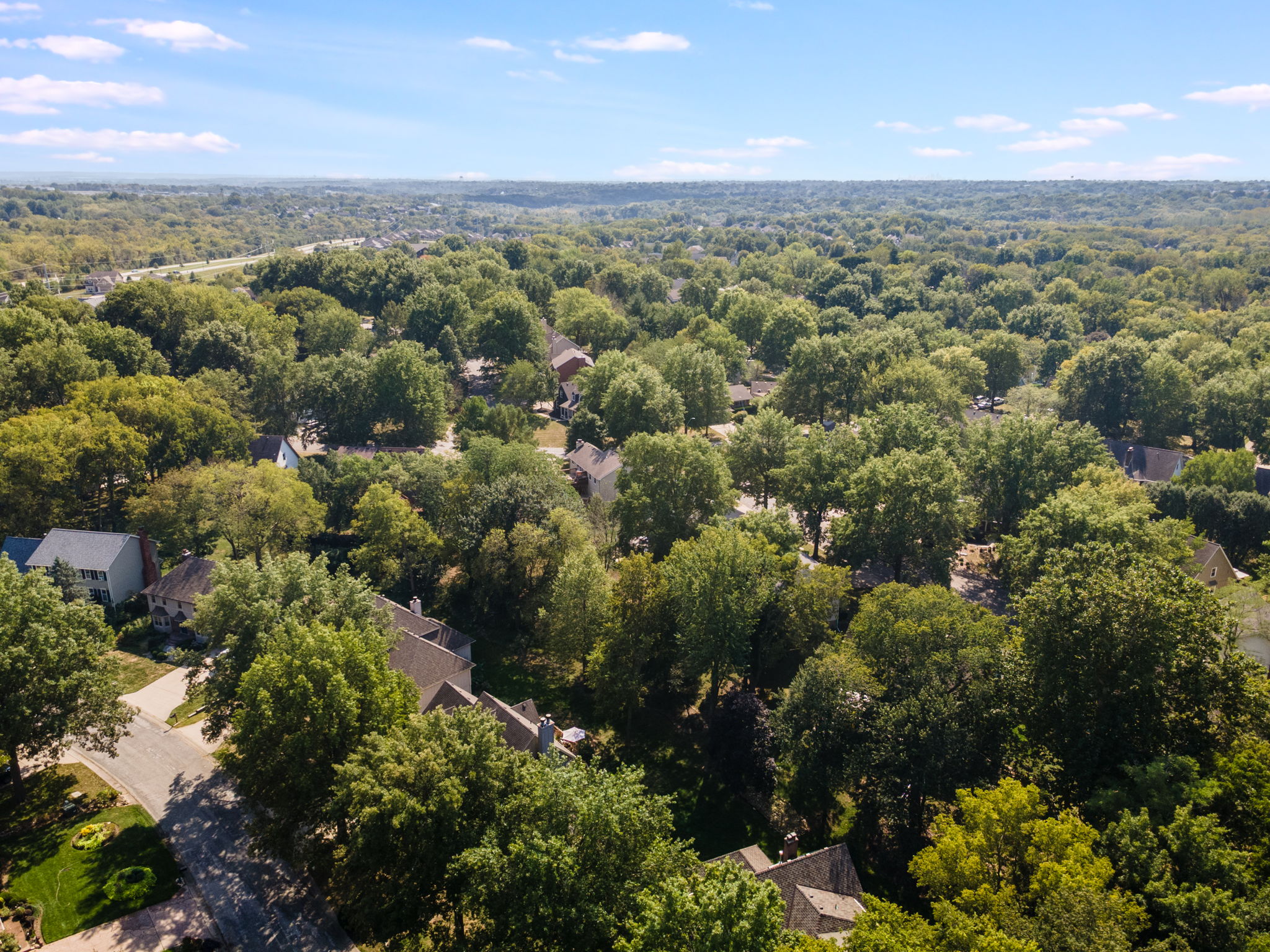 DJI_0106