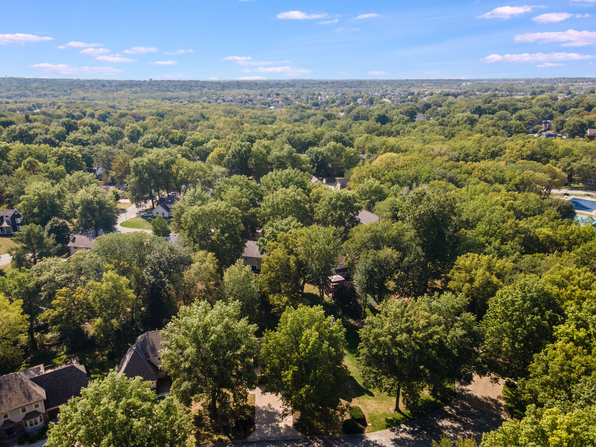 DJI_0111
