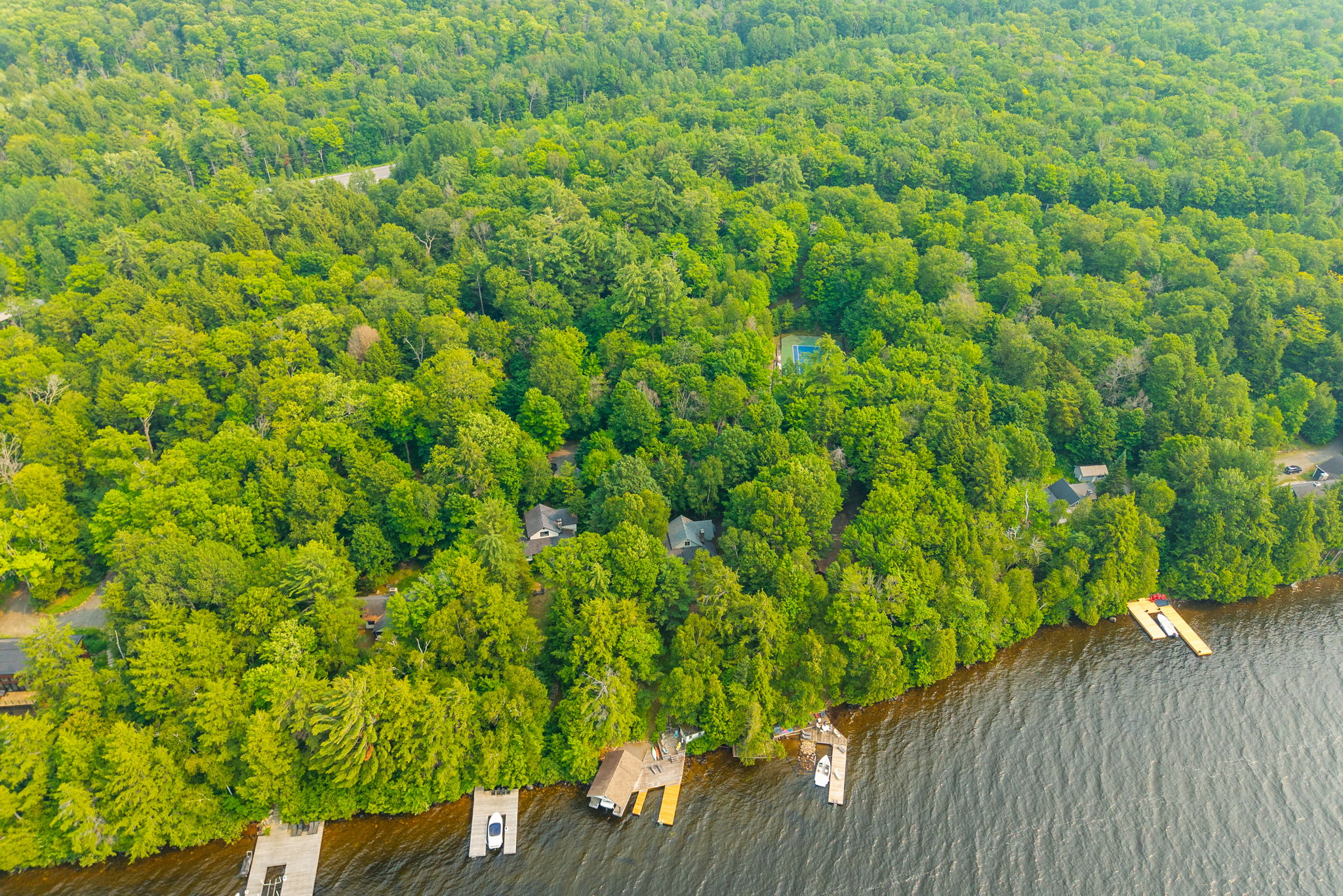  Photo 42
