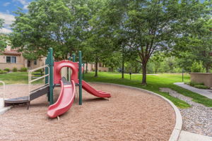 Community Park