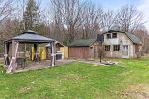  Photo 41
