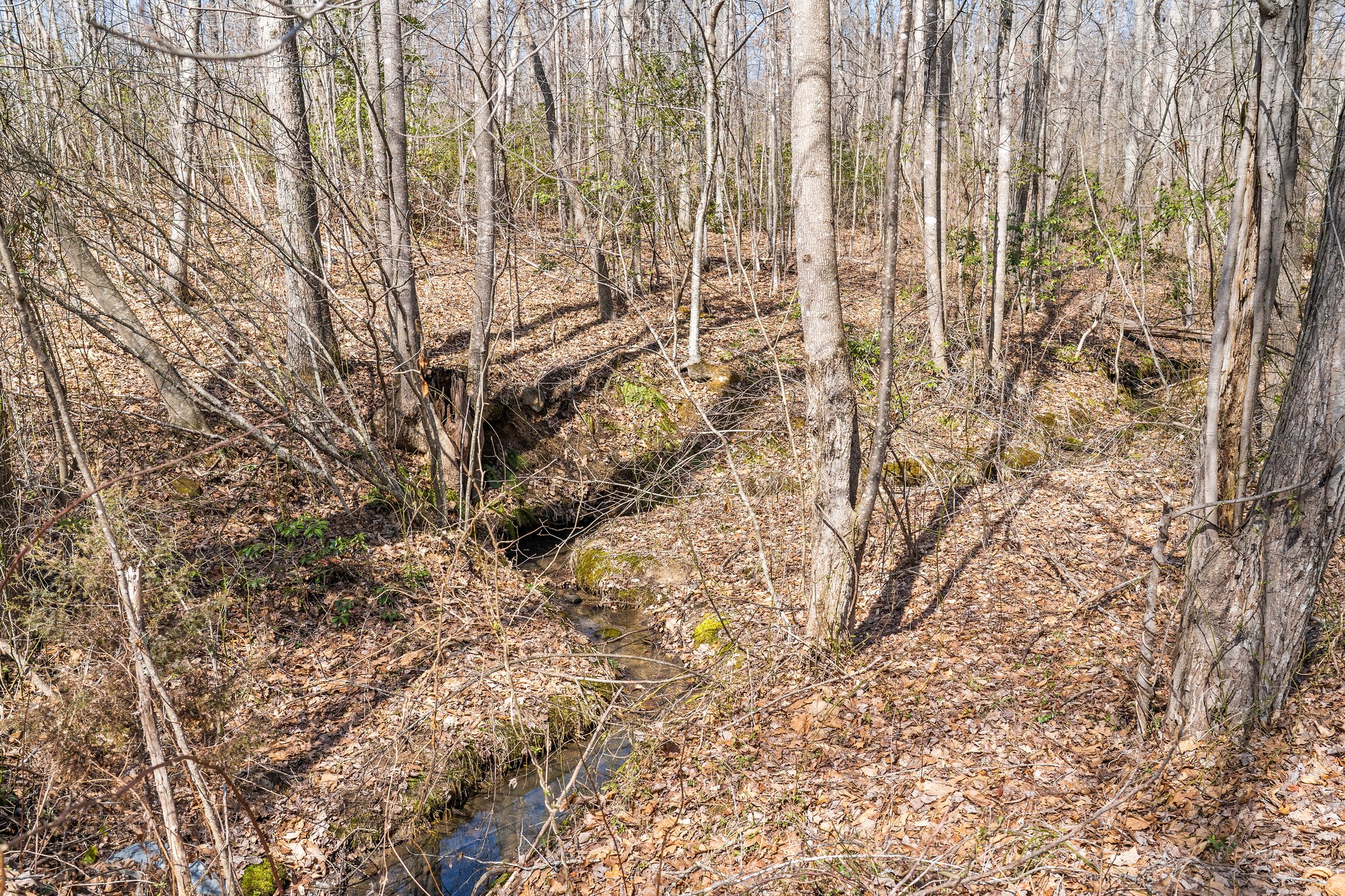 15080 Kimber Ln, Culpeper, VA 22701, USA Photo 121