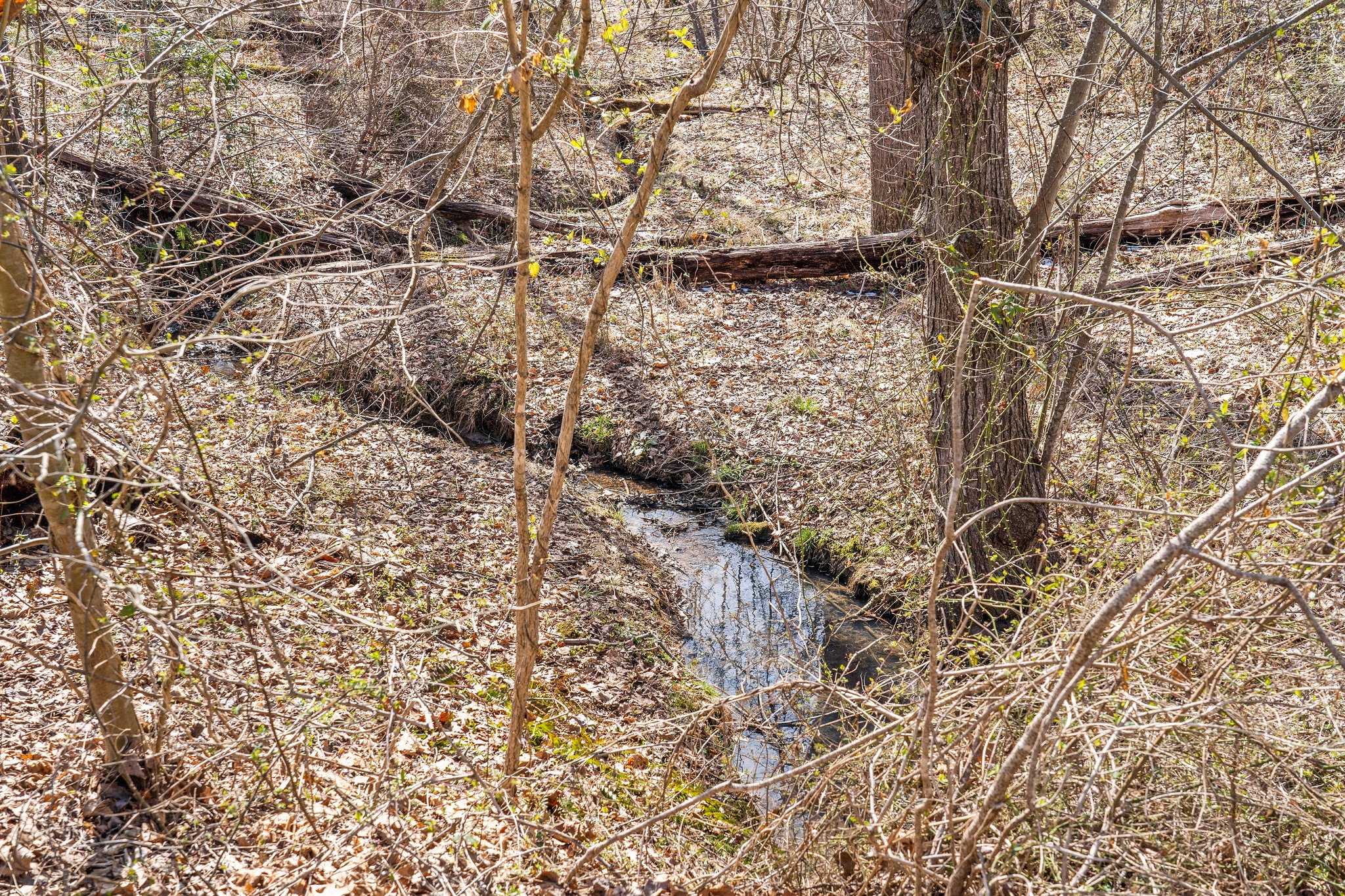 15080 Kimber Ln, Culpeper, VA 22701, USA Photo 122