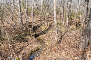 15080 Kimber Ln, Culpeper, VA 22701, USA Photo 120