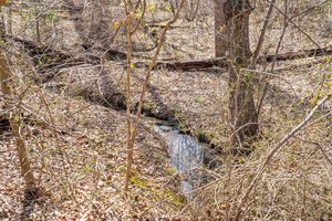 15080 Kimber Ln, Culpeper, VA 22701, USA Photo 121