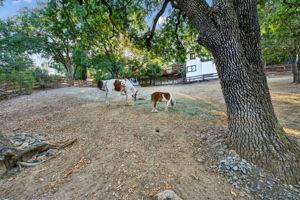  Photo 50