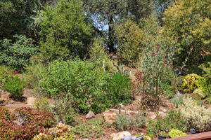  Photo 49