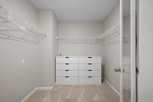  Photo 50