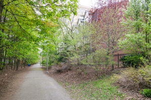  Photo 50