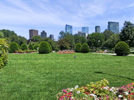  Photo 24