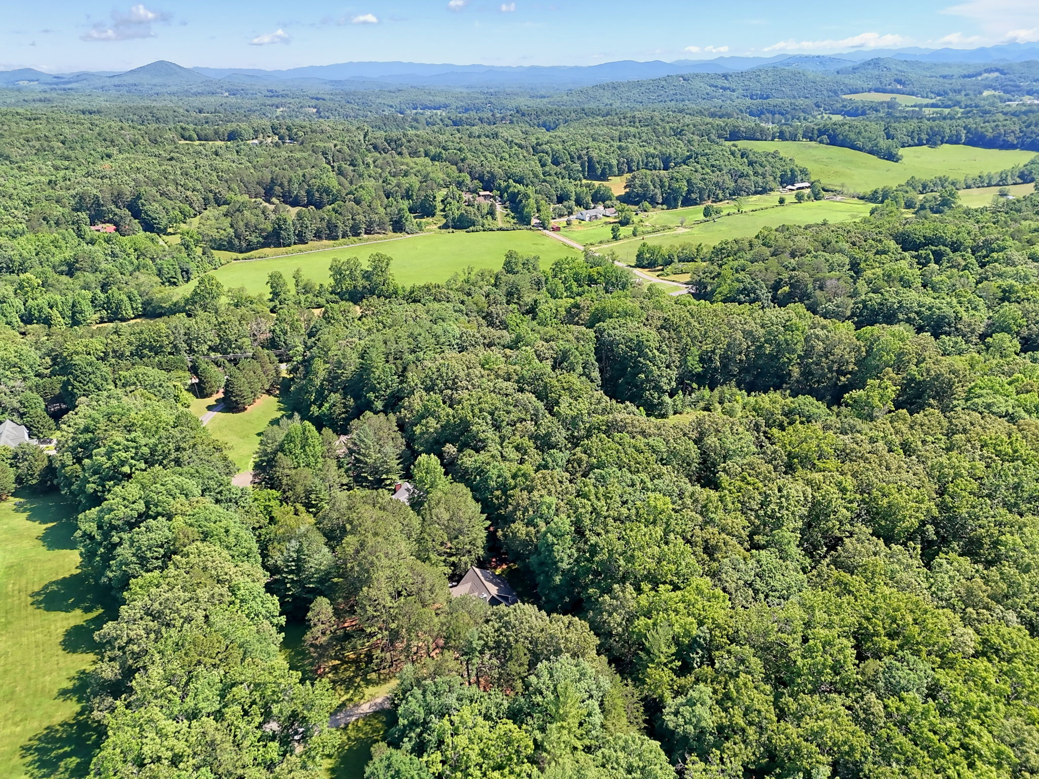  Photo 65
