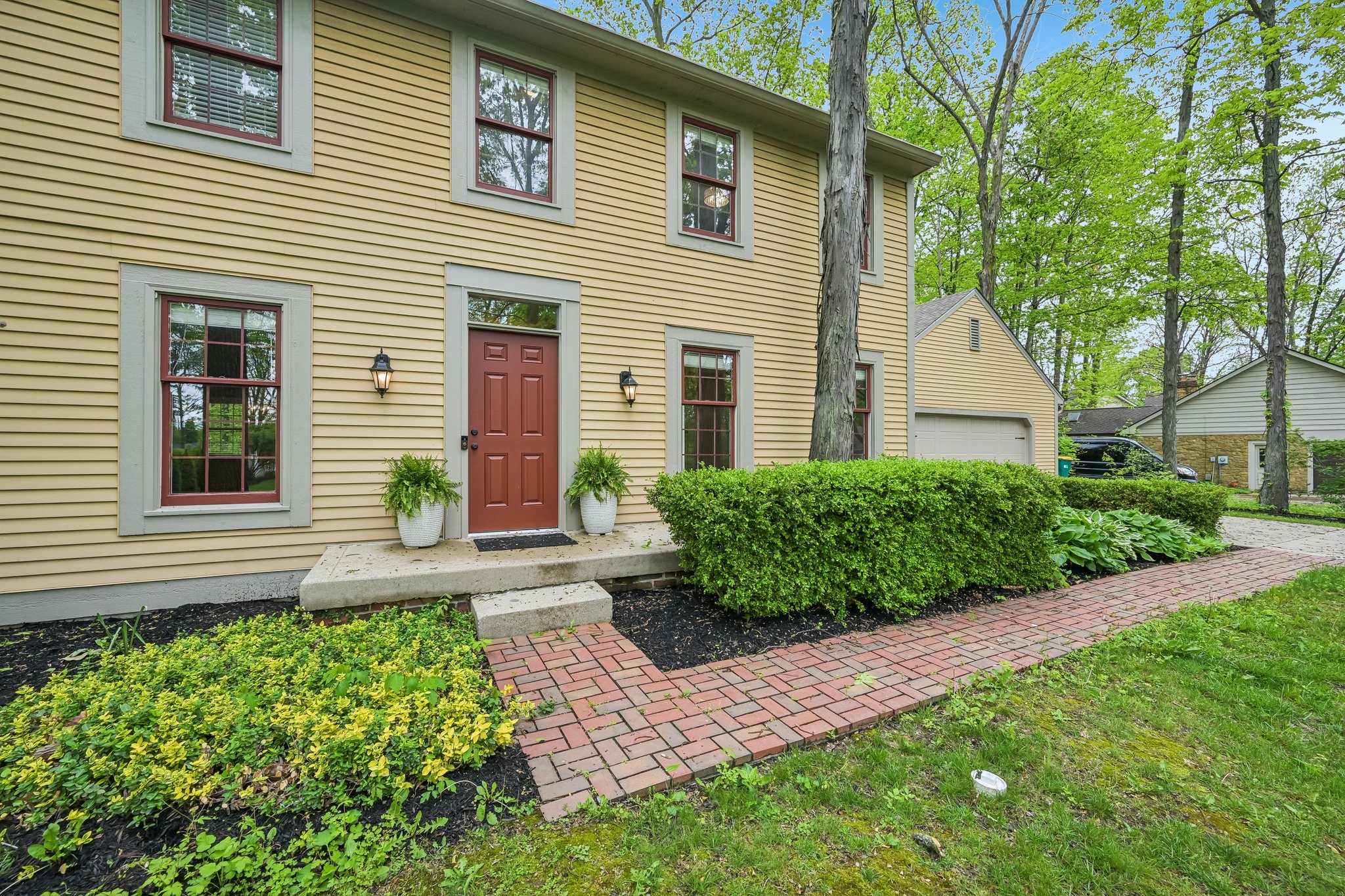 Count Fleet Ct-S2904-004.jpg