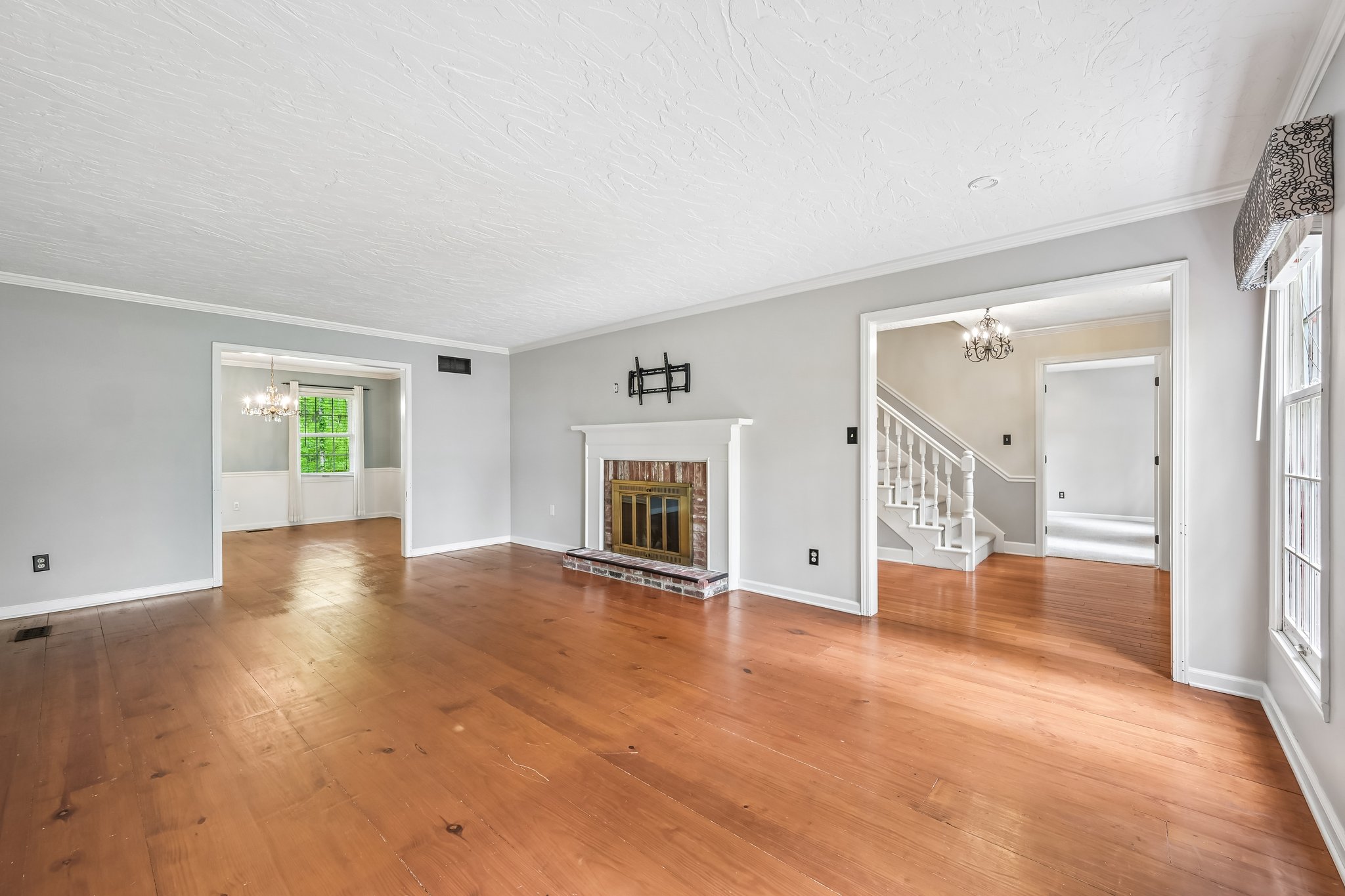 Count Fleet Ct-S2904-005.jpg